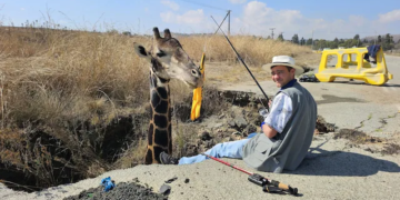 South African Party Used a Dead Giraffe to Highlight Potholes: It Didn’t Go as Planned