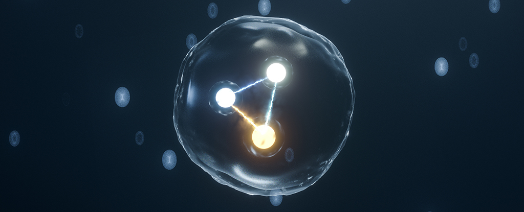 Gluons