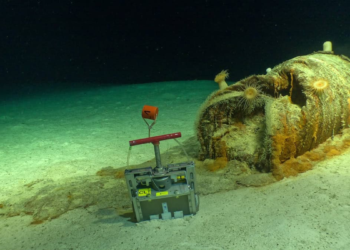 More Than 200,000 Radioactive Waste Barrels Lie on the Atlantic Seafloor. Scientists Have Now Seen What Is Happening to Them