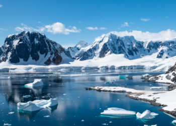 Antarctica Could Soon Get Its First Undersea Internet Cable