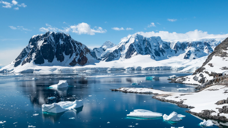 Antarctica