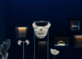 They Bought Tickets To Steal: Thieves Walk Into Austrian Museum and Flee with 200-Carat Diamond Necklace