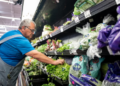 Why Has the US Government Shelved Cyclospora Research Projects Amid A Major Outbreak?