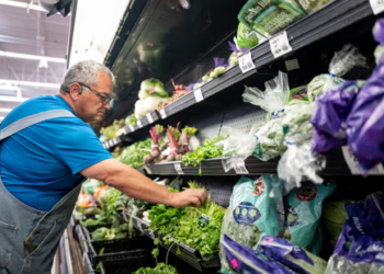 Why Has the US Government Shelved Cyclospora Research Projects Amid A Major Outbreak?