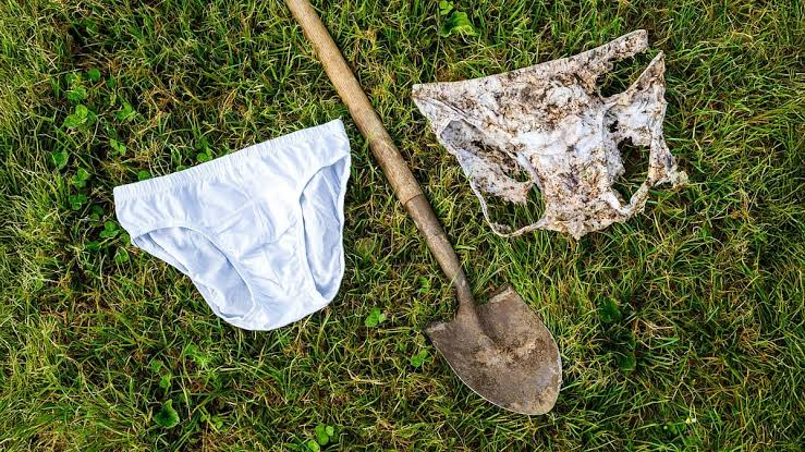 2,000 Pairs of Underwear Buried Across Switzerland Reveal a Surprising Secret About Soil