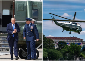 Did Trump’s Marine One Nearly Collide With a Passenger Jet? Here’s What Investigators Know So Far