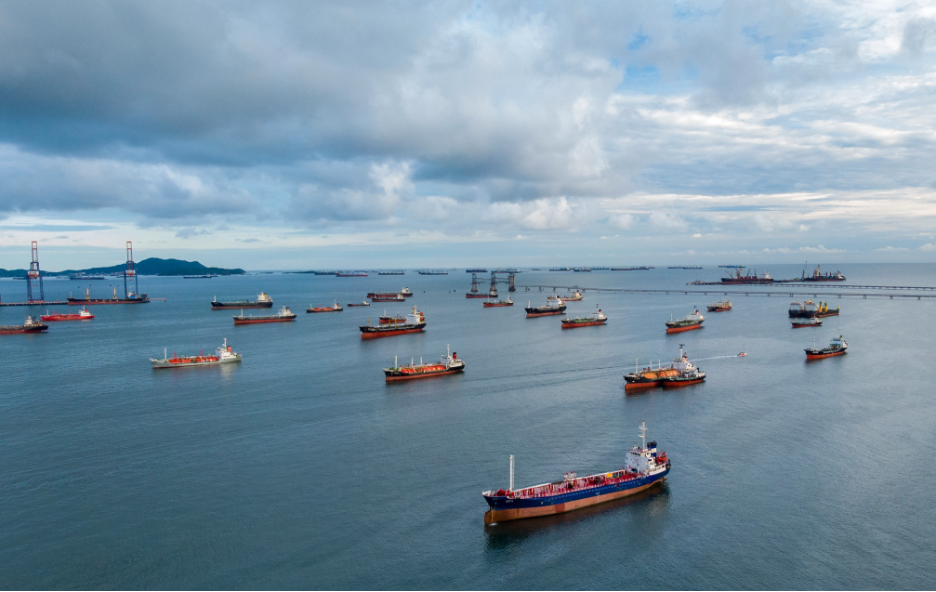 Scientists warn that ships delayed in the Strait of Hormuz could transport invasive marine species worldwide through biofouling. Here's how the process works