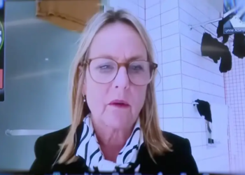 Watch: NZ Politician Joins Council Meeting From Bathroom, Visible Laundry Sparks Viral Debate