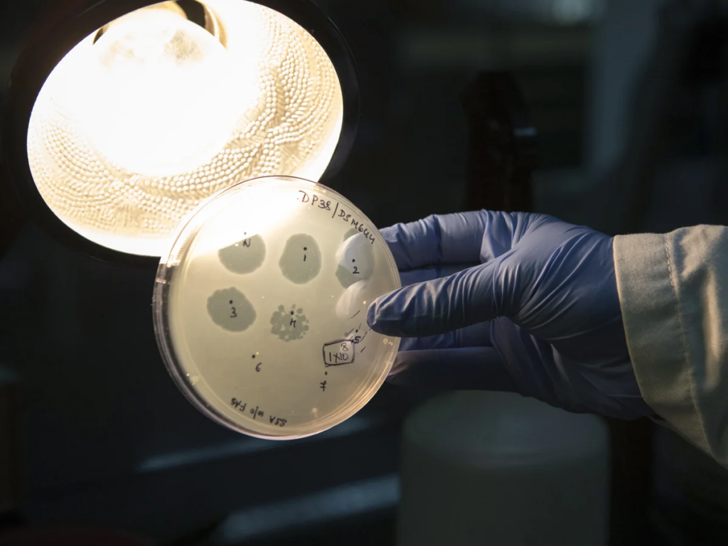 AI Helps Create Viruses That Never Existed on Earth: Breakthrough or a Threat?