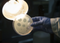AI Helps Create Viruses That Never Existed on Earth: Breakthrough or a Threat?