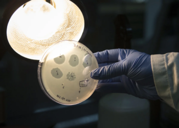 AI Helps Create Viruses That Never Existed on Earth: Breakthrough or a Threat?