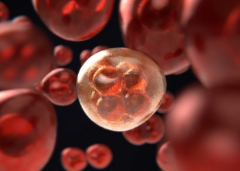 Microbubbles For Liver Cancer: How a Tiny Technology Helped Shrink Advanced Tumors in a New Study