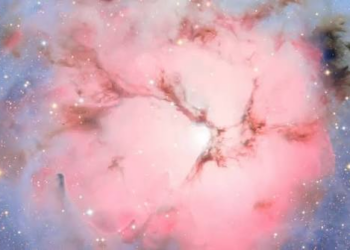 Vera C. Rubin Observatory Image Reveals More Than 500,000 Galaxies in One of the Deepest Views
