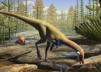 240-Million-Year-Old Tusked Herbivore May Help Redraw the Timeline Of Dinosaur Origins