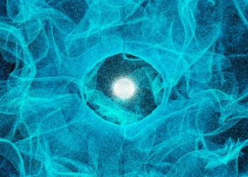 New Quantum Evidence Is Reopening The Debate Over Penrose’s Theory Of Consciousness