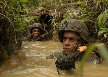 Jungle Warfare