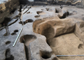 10,500-Year-Old Wood Under German Lake Could Rewrite What We Know About Early Human Homes