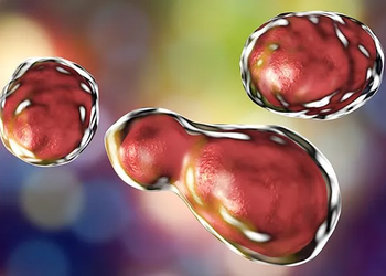 Rare Fungal Infection That Targets The Brain Is Rising, CDC Report Finds