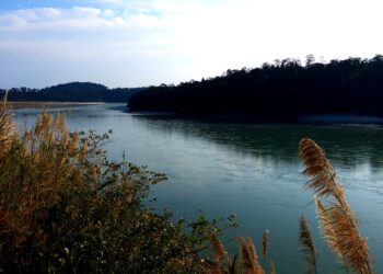 The Siang River flows between forested hills in Arunachal Pradesh, with tall grass on the bank in the foreground