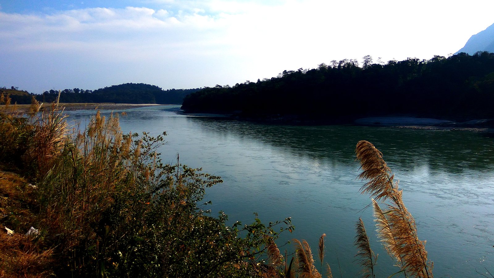 The Siang River flows between forested hills in Arunachal Pradesh, with tall grass on the bank in the foreground