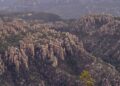Rows of volcanic rock spires on forested ridges at Chiricahua National Park in southeastern Arizona