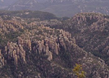 Rows of volcanic rock spires on forested ridges at Chiricahua National Park in southeastern Arizona