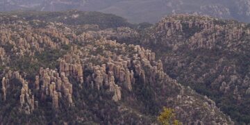 Rows of volcanic rock spires on forested ridges at Chiricahua National Park in southeastern Arizona