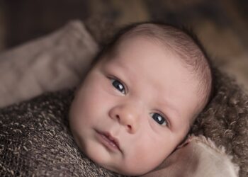 A newborn baby with dark hair and blue eyes lying swaddled in a brown knit wrap