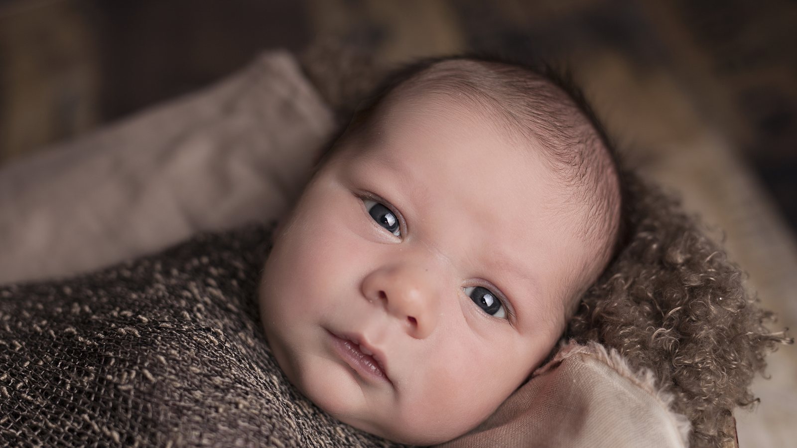 A newborn baby with dark hair and blue eyes lying swaddled in a brown knit wrap