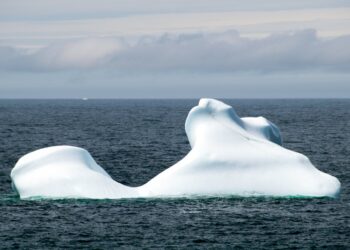 A white, weathered iceberg floating in dark blue ocean water under a grey, cloudy sky off Fogo Island, Newfoundland