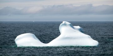 A white, weathered iceberg floating in dark blue ocean water under a grey, cloudy sky off Fogo Island, Newfoundland