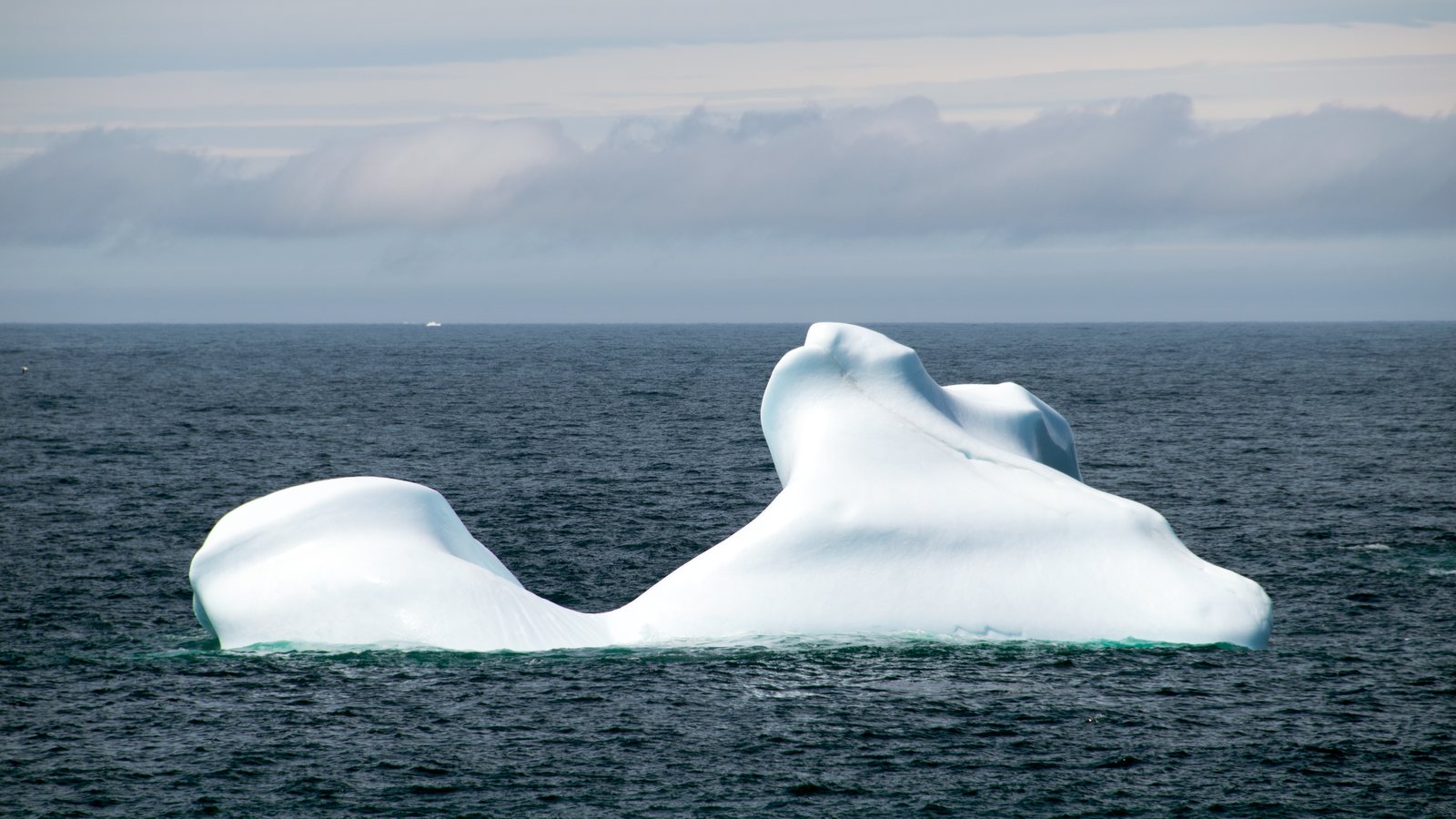 A white, weathered iceberg floating in dark blue ocean water under a grey, cloudy sky off Fogo Island, Newfoundland